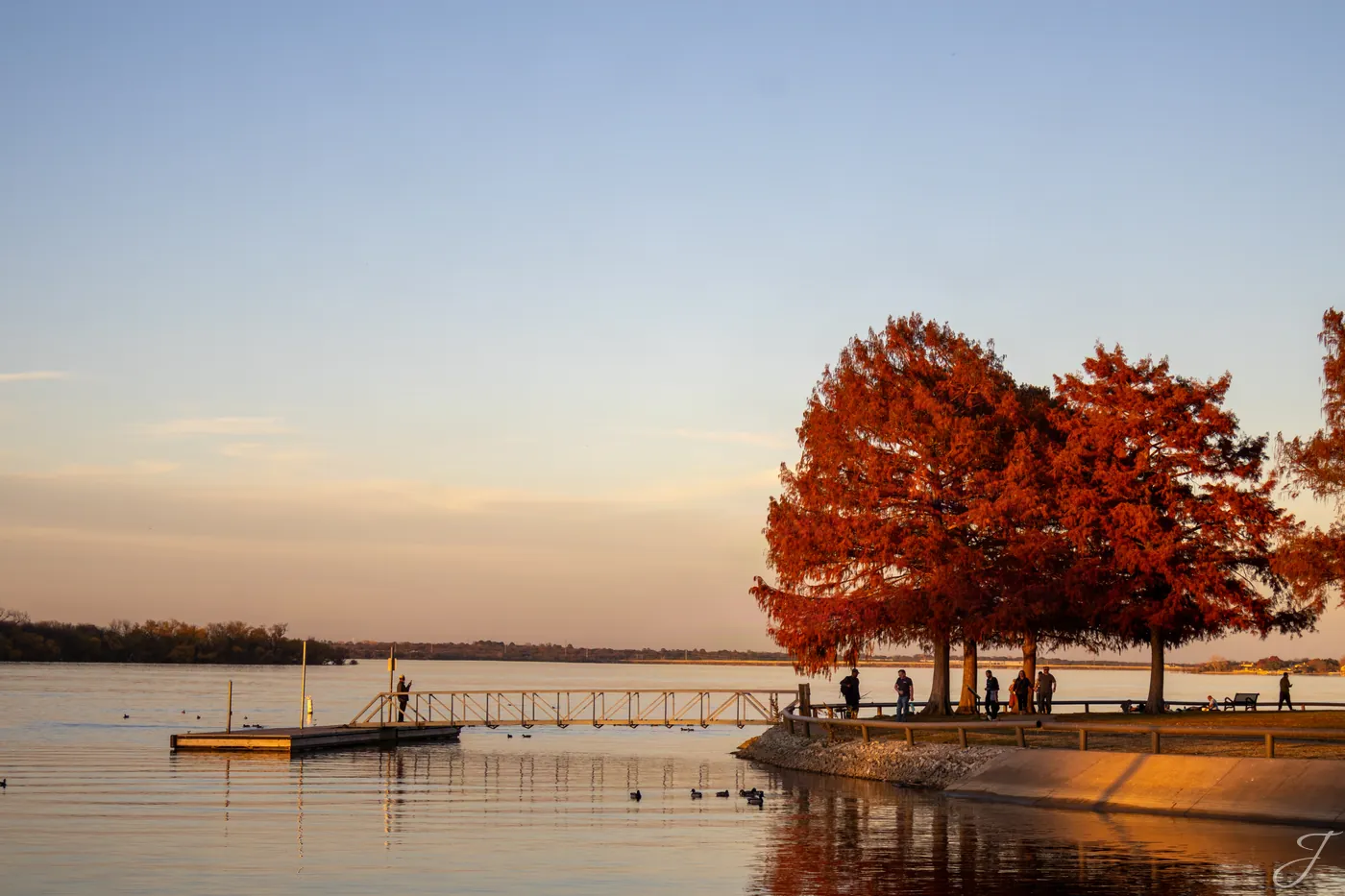 Golden trees at Lake Arlington — North Texas landscape photography